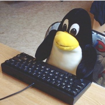 JustHandro's profile picture. 🇳🇮 Sysadmin, gamer and sometimes racer