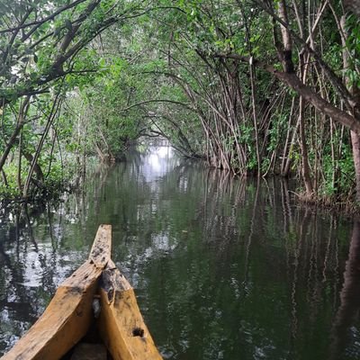 dedhdimaaag's profile picture. 