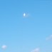 Hello (@safemoonflight) Twitter profile photo Hello (@safemoonflight) Twitter profile photo
