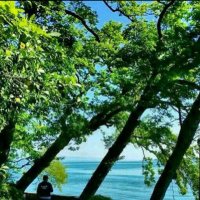 π
’π
π
π
π
(@i_sa3ed) 's Twitter Profile