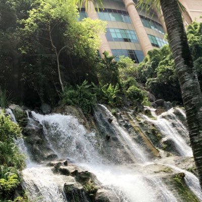 a0edl's profile picture. 