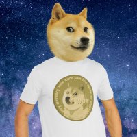 Meme Shirts (@memecoinsshirts) 's Twitter Profile