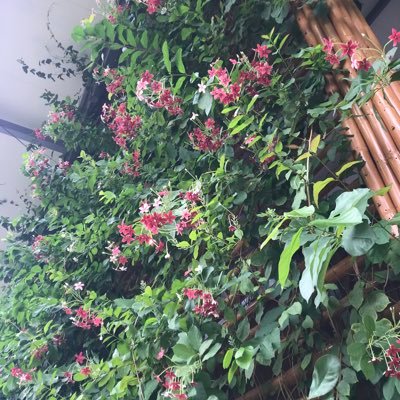 MyoGyi382334614's profile picture. 