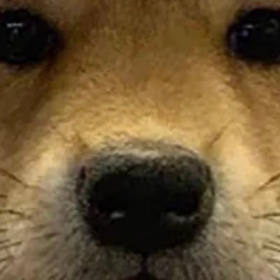 SamBullyano's profile picture. KaijuKingz