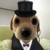Crypto Cat TV (aka 'Billy Guy') (@cryptocattv) Twitter profile photo Crypto Cat TV (aka 'Billy Guy') (@cryptocattv) Twitter profile photo