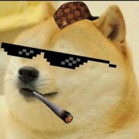 Lord of the Memes (@boredofthememes) 's Twitter Profile