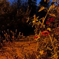 Sc7 (@suna_cali) 's Twitter Profile