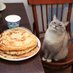 gato filloas (@lilartoni) Twitter profile photo gato filloas (@lilartoni) Twitter profile photo