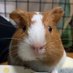 joejoe (@joejoef1319) Twitter profile photo joejoe (@joejoef1319) Twitter profile photo
