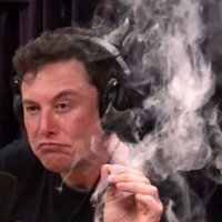 Elonmusk (@elonmusk215855) 's Twitter Profile