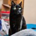 Adny Ph ๐ (@phen77) Twitter profile photo Adny Ph ๐ (@phen77) Twitter profile photo