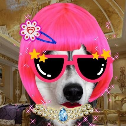 jonekmaru3's profile picture. plave x patrick is my susu~
💙💜💗❤🖤🐰
รีทุกอย่างที่อยากรี ไม่แยกแอค