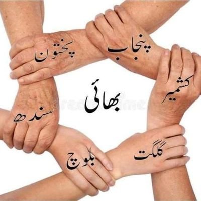 navidmughal75's profile picture.