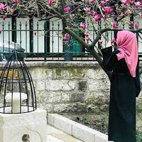 yıldız (@yildiz02932) 's Twitter Profile