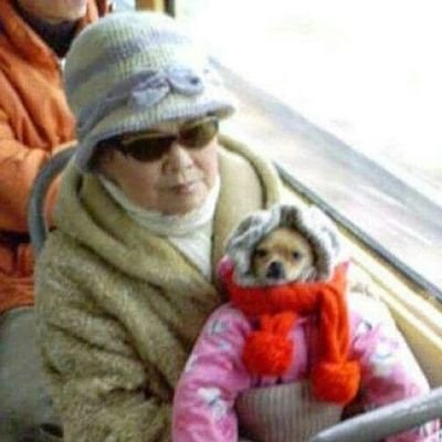 могильные воплиさんのプロフィール画像