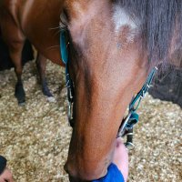 Josh ππ (@racingmadjosh) 's Twitter Profile Photo Josh ππ (@racingmadjosh) 's Twitter Profile Photo
