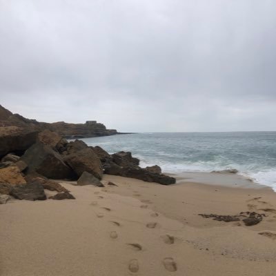 coinquestor's profile picture. Crypto Enthusiast | Investor | Blockchain Advocate 🌍💰 | 
Join me on this exhilarating journey through the world of cryptocurrencies! #crypto #blockchain #defi