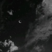 Dark (@zdark7_) 's Twitter Profile