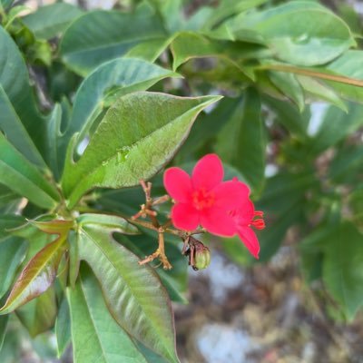 Jannjas1's profile picture. 👒