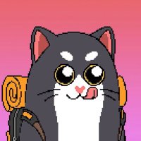 只只 (@fengw2517) 's Twitter Profile