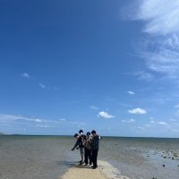 中野 (@_hayating) 's Twitter Profile