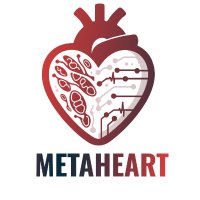 COST Action EU-METAHEART (@eu_metaheart) 's Twitter Profile