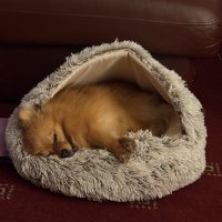 Tracy (@tacjones3tracy) 's Twitter Profile Photo