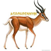 centre point (@agrohpenney) 's Twitter Profile Photo