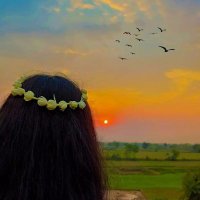 🦋⃟⃟ 𝗣𝗿𝗮𝗻𝘀𝗵𝗶࿐ (@pranshipatel05) 's Twitter Profile