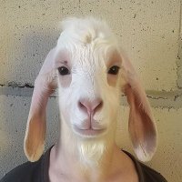 Gigantor Goatseus (@humanhybird2) 's Twitter Profile