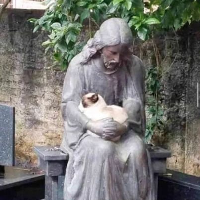 cruxcathedral's profile picture. Lord forgive me for I am evil and retarded