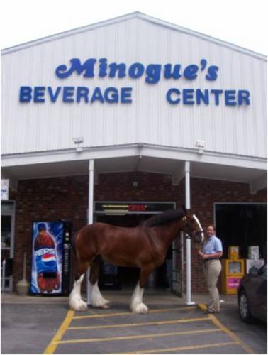 A 4th generation family owned business located in Upstate New York. We're a beverage center with 4 locations - Queensbury, Saratoga, Wilton and Malta.