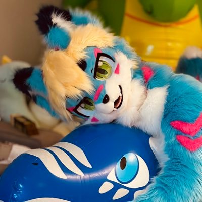 I created account just for content with inflatable toys/Feel free to follow me//NSFW🔞//Bluewolf 'Aru'