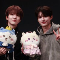 ash saw svt ⑰ (@wonhuied) 's Twitter Profile