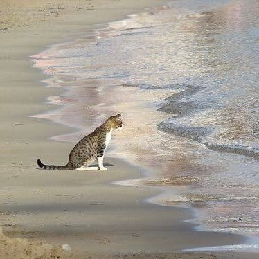 nmsprd_'s profile picture. just cursing and complaining about anything