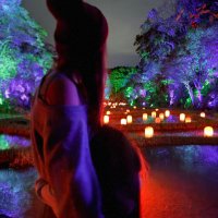 は (@hkz0516) Twitter profile photo