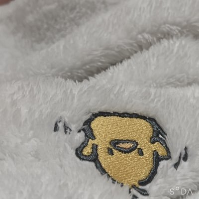 わらしさんのプロフィール画像