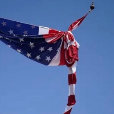 momofmurphs's profile picture. 