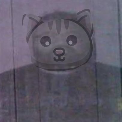 KPKD0GRYN's profile picture. BobaCat $1B market cap olduğunda hesap kapanır