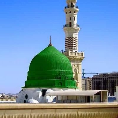 SajidAli1229875's profile picture. Always Loyal