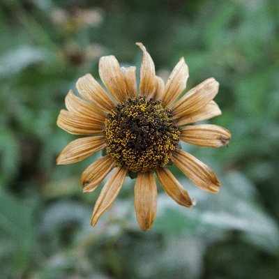 jpg_lab's profile picture. 