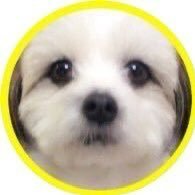 あむさんのプロフィール画像