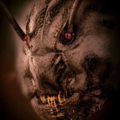 errmakov's profile picture. Software engineer