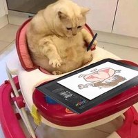 Alian is not here (@crabpie1007) 's Twitter Profile