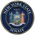 New York State Senate Profile picture