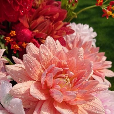 hinacoco1010's profile picture. 