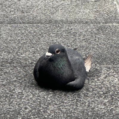 rdk35tkt's profile picture. 