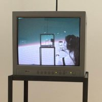 Regina Harsanyi (@reginaharsanyi) 's Twitter Profile
