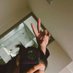 WP 🐨🐰 (@imsliceofcake) Twitter profile photo WP 🐨🐰 (@imsliceofcake) Twitter profile photo