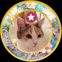 てまきずし🍯🍊低浮上気味🙏 (@temaki1231) Twitter profile photo